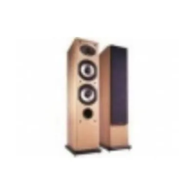 Acoustic Energy AE 309