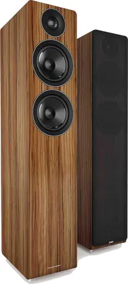 Acoustic Energy AE109 (Walnut)