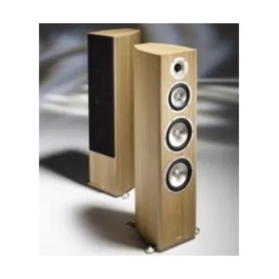Acoustic Energy Radiance 3