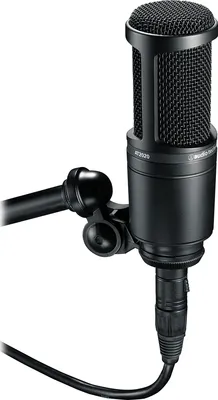 Audio Technica AT2020 Μικρόφωνο Studio.