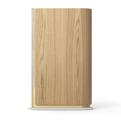 Bang & Olufsen Beosound Emerge
