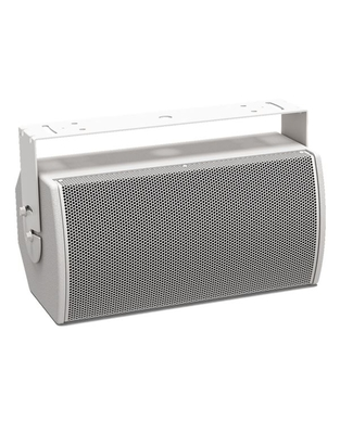 BOSE ArenaMatch Utility AMU108 White Hχείο
