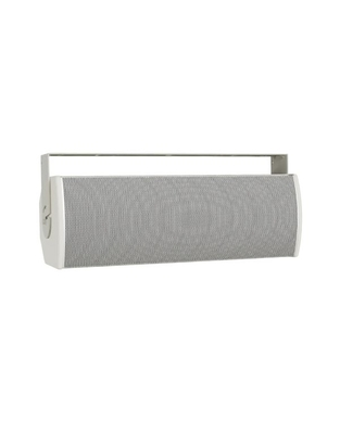 BOSE ArenaMatch Utility AMU208-120 White Hχείο