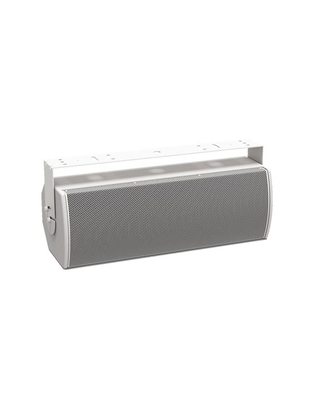 BOSE ArenaMatch Utility AMU208 White Hχείο