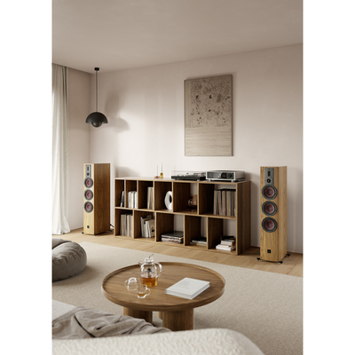 Dali Rubikore 8 Natural Walnut