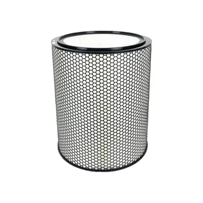 DYSON 972132-01 Hepa Filter for BP03/BP04