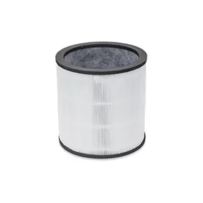 DYSON 972425-01 Evo Carbon Filter Retail for HP00/HP01/ HP02/HP03/ DP01/DP03
