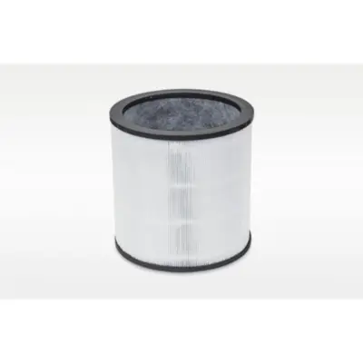 DYSON 972426-01 Evo Carbon Filter Retail for TP00/TP02