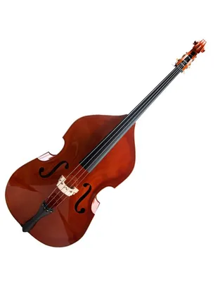 F.ZIEGLER BG-001 Kοντραμπάσο 3/4 Conservatory