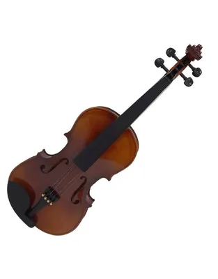 F.ZIEGLER LG002HPA 16''  Conservatory Βιόλα 16'' Με Θήκη και Δοξάρι