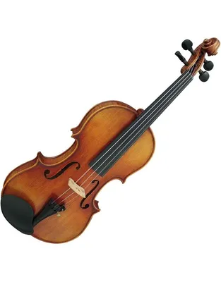 HIDERSINE Venezia Finetune 4/4 Βιολί με Θήκη και Δοξάρι