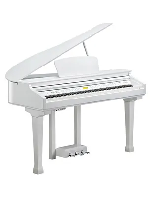 KURZWEIL KAG100 WHP Ηλεκτρικό Πιάνο με Ουρά