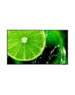 NEC E658 Multisync LED Monitor 65"