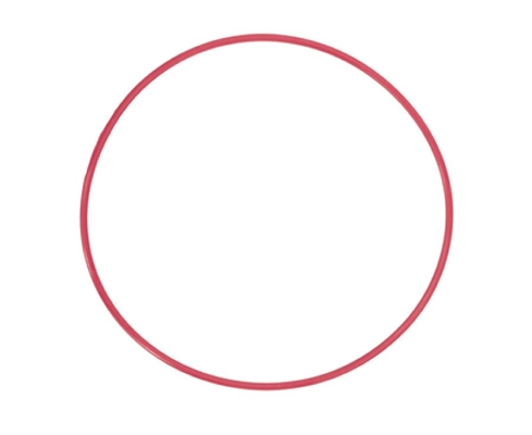 Olympus POL-EP03 O-Ring for PT-EP10//PT-EP06L/PT-EP05L/PT-EP03 Underwater