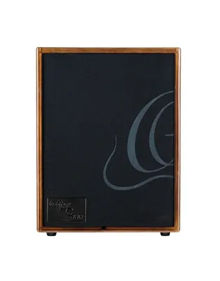 ORTEGA CONE-WND Walnut Ενισχυτής Ακουστικών Οργάνων/Φωνής 100W