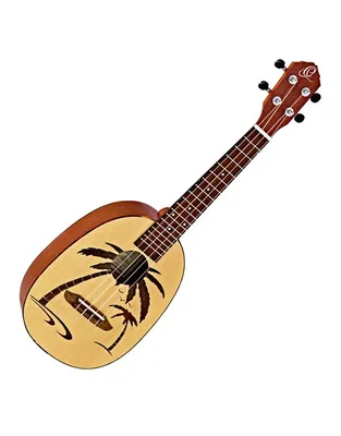ORTEGA RUPA5 Concert Ukulele
