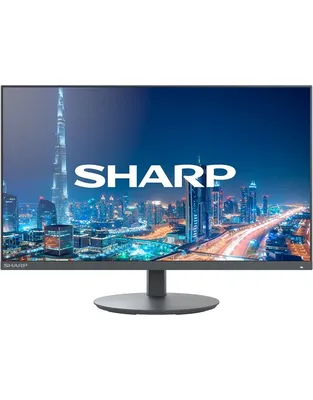 SHARP DD-E224F Multisync LCD Monitor 22"