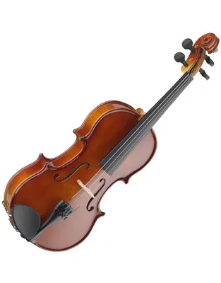 STAGG VN-1/4 Βιολί με Θήκη και Δοξάρι